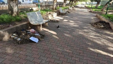 صورة مصالح بلدية القبة تنظف حديقة المنظر الجميل