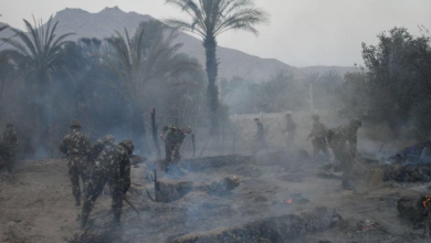 صورة قوات الجيش يتدخل لإطفاء حرائق في الصحراء…