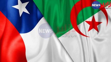 صورة الحرص على تعزيز العلاقات التي تربط كل من الجزائر و الشيلي