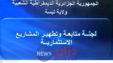 صورة لجنة متابعة وتطهير المشاريع الإستثمارية