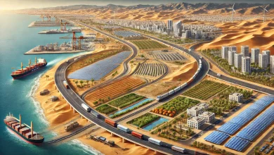 صورة المشاريع التكاملية في الجزائر