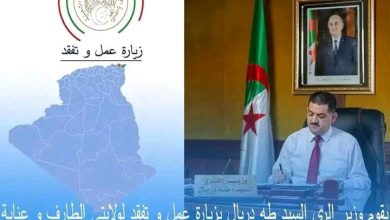 صورة زيارة وزارية