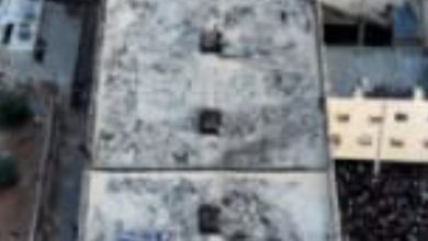 صورة سجن صيدنايا