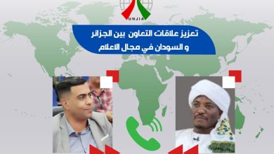 صورة تعزيز التعاون الإعلامي العربي-الإفريقي