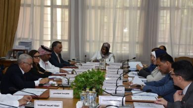 صورة الجزائر على رأس لجنة الملكية الفكرية الفنية في جامعة الدول العربية