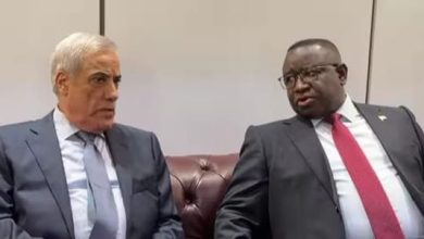 صورة تعزيز الشراكة الإفريقية