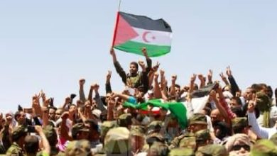 صورة 52 سنة من الصمود الصحراوي