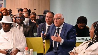 صورة تعاون الاتحاد الإفريقي والاتحاد الأوروبي