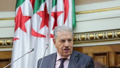 صورة الجزائر وإيران تعززان الشراكة البرلمانية والدفاعية