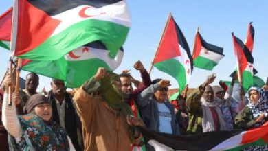 صورة الشرعية تعانق الصحراء