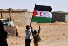 صورة نداء صحراوي من فرنسا