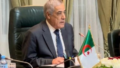 صورة ندير العرباوي في إشبيلية
