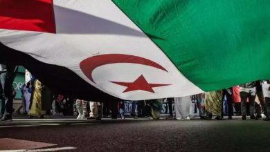 صورة نداء عاجل لحماية الصحراويين