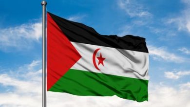 صورة نهبٌ أخضر في الصحراء