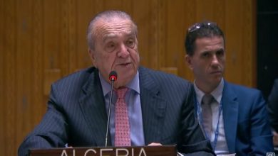 صورة دعم إفريقي لسلام دائم