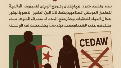 صورة إلغاء التحفظات على اتفاقية سيداو