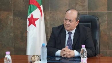 صورة الجزائر ومصر والشراكة الاستراتيجية