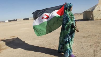 صورة أمريكا اللاتينية تساند تقرير مصير الصحراء