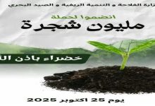 صورة الجزائر الخضراء تنهض مجددًا