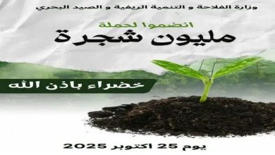 صورة الجزائر الخضراء تنهض مجددًا