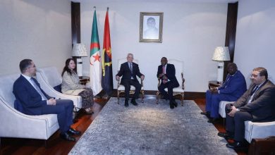 صورة الجزائر تدعم تنمية إفريقيا