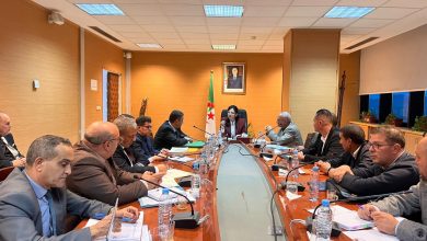 صورة وزيرة التجارة تؤكد العصرنة