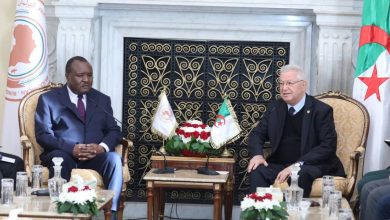 صورة شراكة برلمانية تعزّز إفريقيا