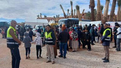 صورة السلامة خطوة قبل البداية