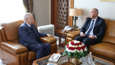 صورة تنسيق مؤسساتي لتعزيز المسار الديمقراطي