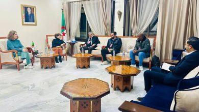 صورة بن دودة: تطوير السينما