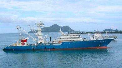 صورة المادة 150 تعزّز الأسطول البحري