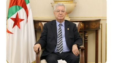 صورة ناصري يعبر عن اعتزازه بيناير