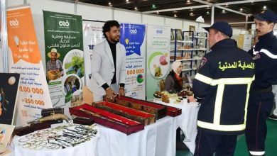 صورة حضور نوعي للوكالة الوطنية لتسيير القرض المصغر