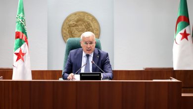 صورة بوغالي: التشريع مسؤولية وطنية لترسيخ الاستقلال الشامل