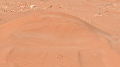 صورة الوالي يتابع إزالة الرمال