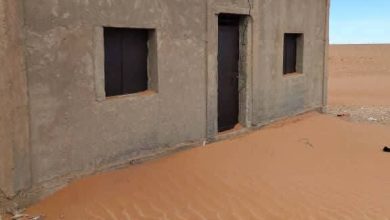 صورة نداء عاجل لمربي الماشية