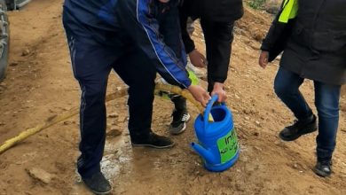 صورة باتنة تغرس لأجل المستقبل