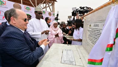 صورة الجزائر – النيجر: تعاون طاقوي